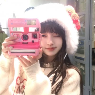 安妮·法兰克的最后七个月